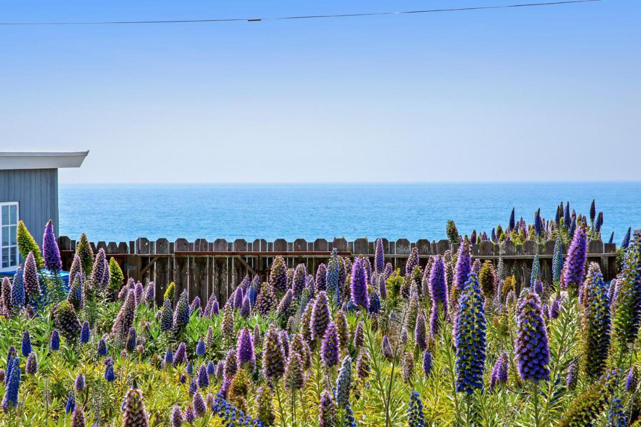 Cozy Carmet Cottage Bodega Bay Exterior foto